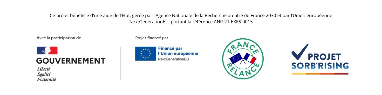 banniere sorb'rising