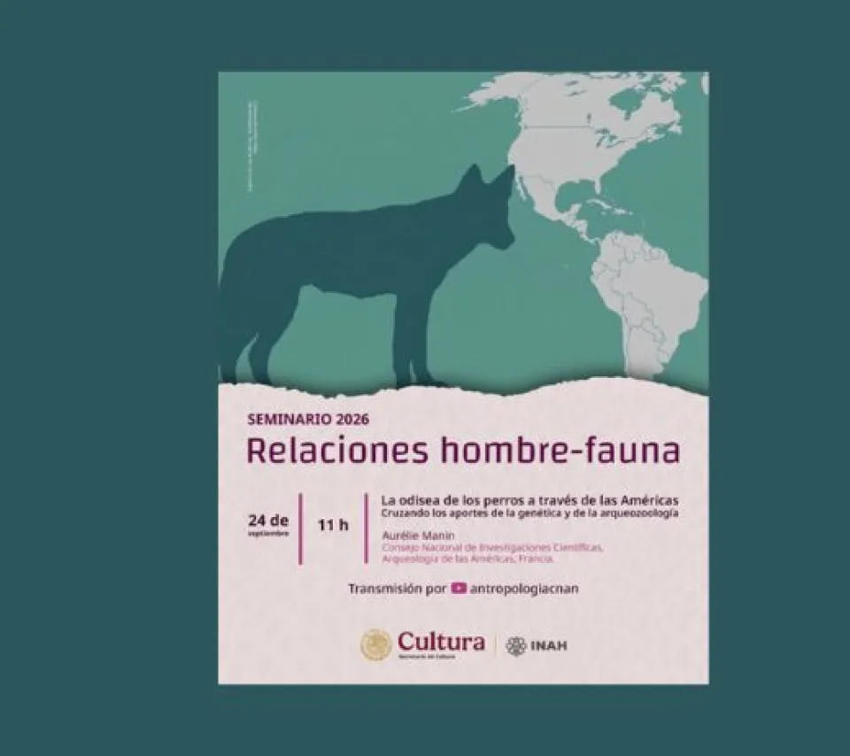 La odisea de los perros a través de las Americas