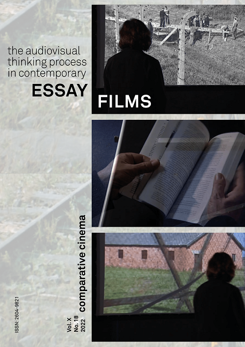 contemporary essay films