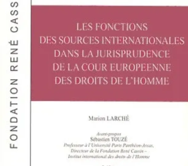  Les fonctions des sources internationales dans la jurisprudence de la Cour européenne des droits de l'homme
