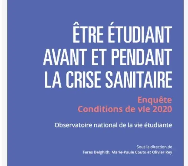  Projets et perspectives professionnelles des étudiants en mobilité au prisme de la pandémie